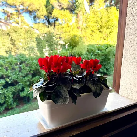 By The Sea And Pool * Λινιάνο Σαμπιαντόρο