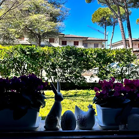 By The Sea And Pool *