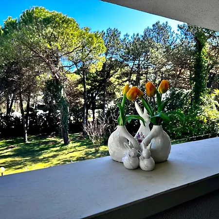 By The Sea And Pool * Λινιάνο Σαμπιαντόρο