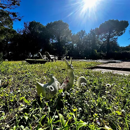 By The Sea And Pool *