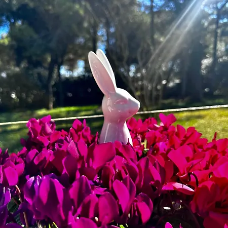 By The Sea And Pool Βίλα *