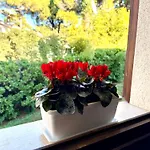 By The Sea And Pool * Lignano Sabbiadoro