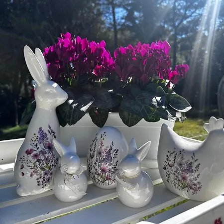 Villa By The Sea And Pool